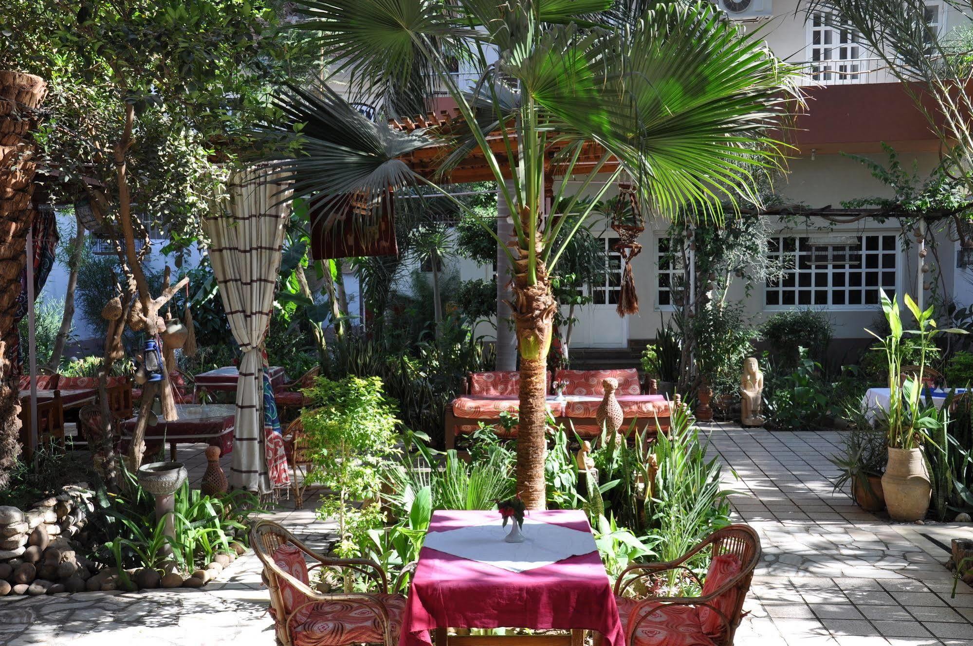 Amon Hotel Luxor Kültér fotó